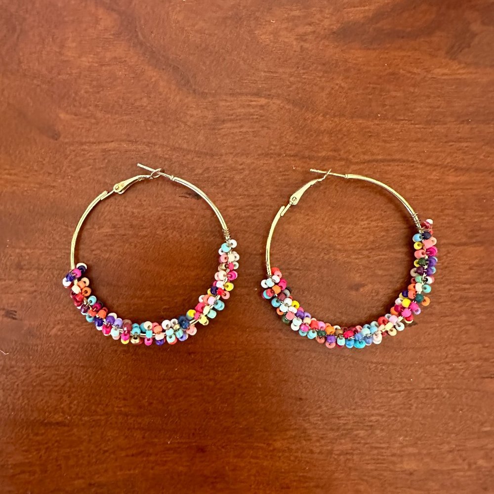 The Impeccable Pig Rainbow Beaded Hoops